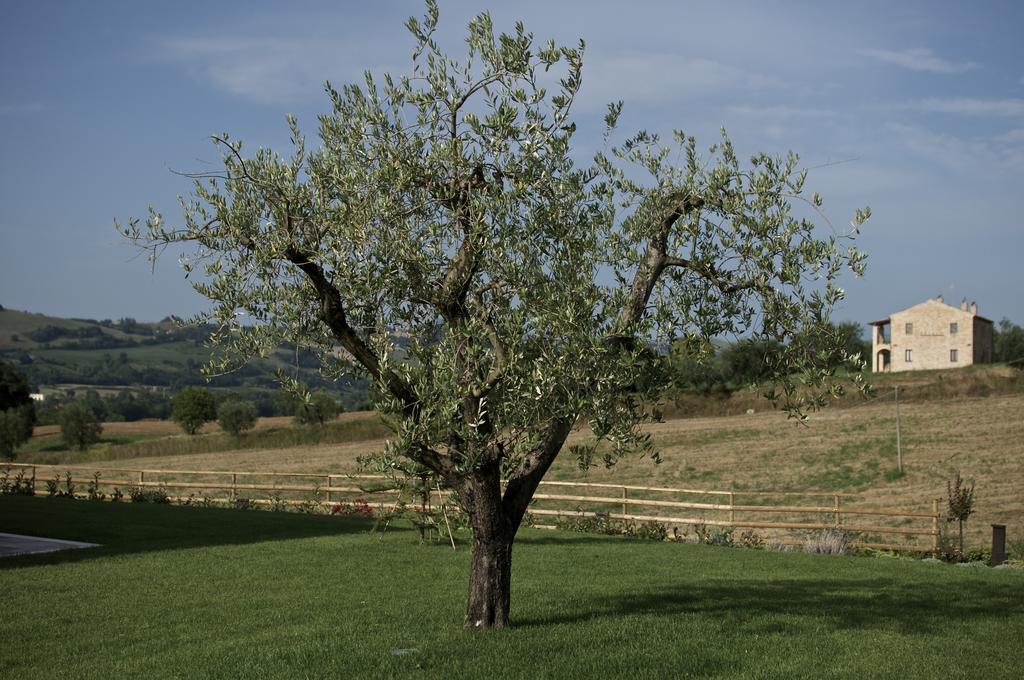 Moresco Agriturismo Екстериор снимка